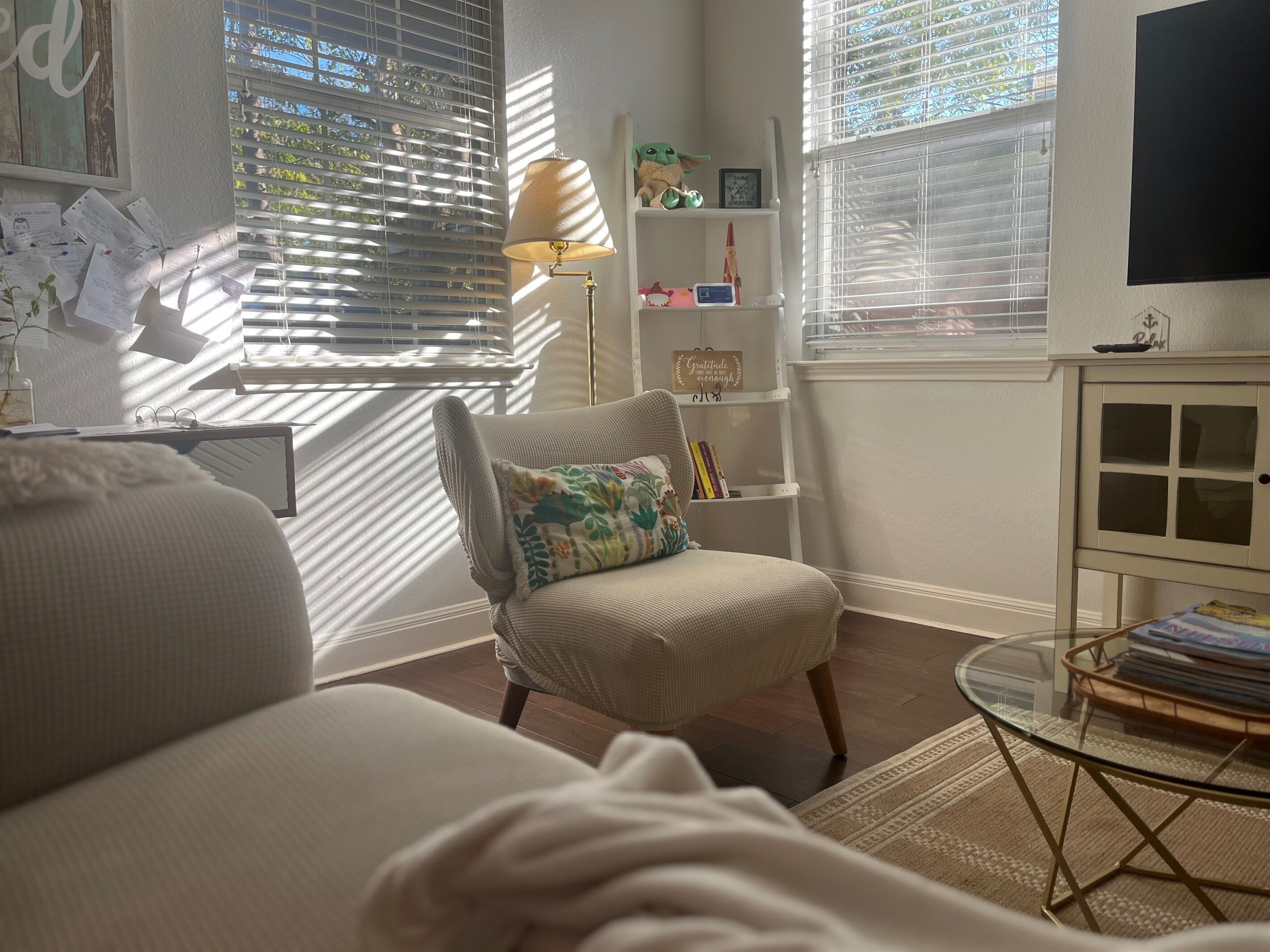 智能電視、壁爐、書籍、 辦公室