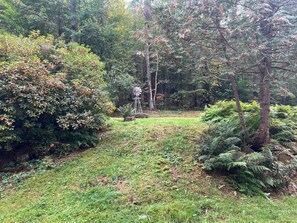 Terrain de l’hébergement 