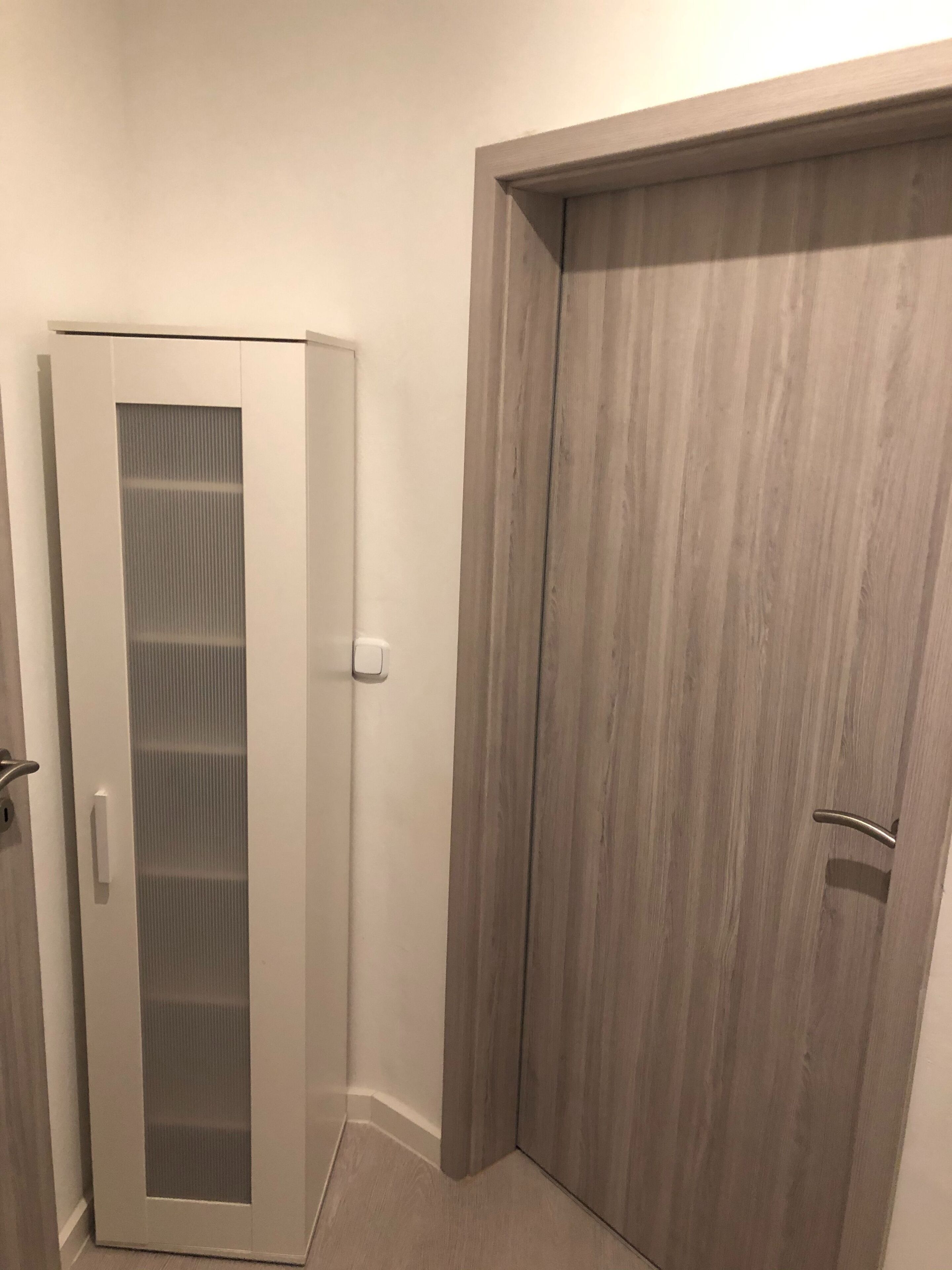 Apartment, 1 Schlafzimmer, Balkon | Eingangsbereich