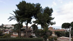 A residential area with houses, a large tree, and a gate.