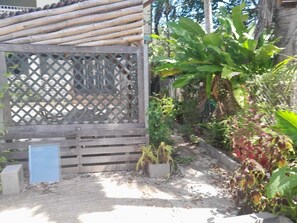 Property grounds - Creole Escape: Rustic House 5 Minutes Walk from the Beach, Baie du Moule (Le Moule)