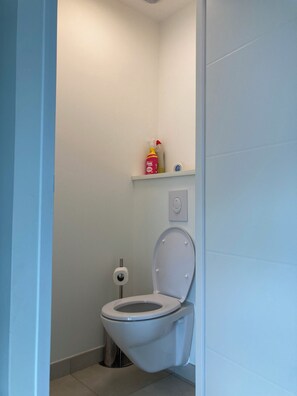 Ducha, secador de pelo, toallas y papel higiénico