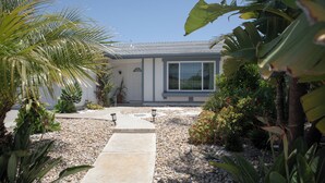 A house with a paved driveway leading to a front door, surrounded by various plants and a palm tree.