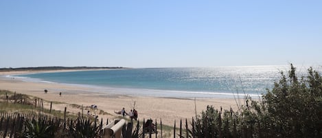 Strand