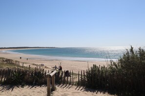Ein Strand mit Holzzaun und spärlicher Bepflanzung.