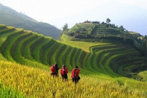 Miscellaneous - Longji Rice Terraces Fengya Mountain Dwelling B&B (Longsheng)