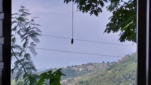 A view of a hilly landscape with a clear sky, featuring a power line and some vegetation in the foreground.