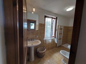 Shower, hair dryer, bidet, towels - Beautiful semi-detached house, view over the coast. Air conditioning,Wi-Fi (Toscana)