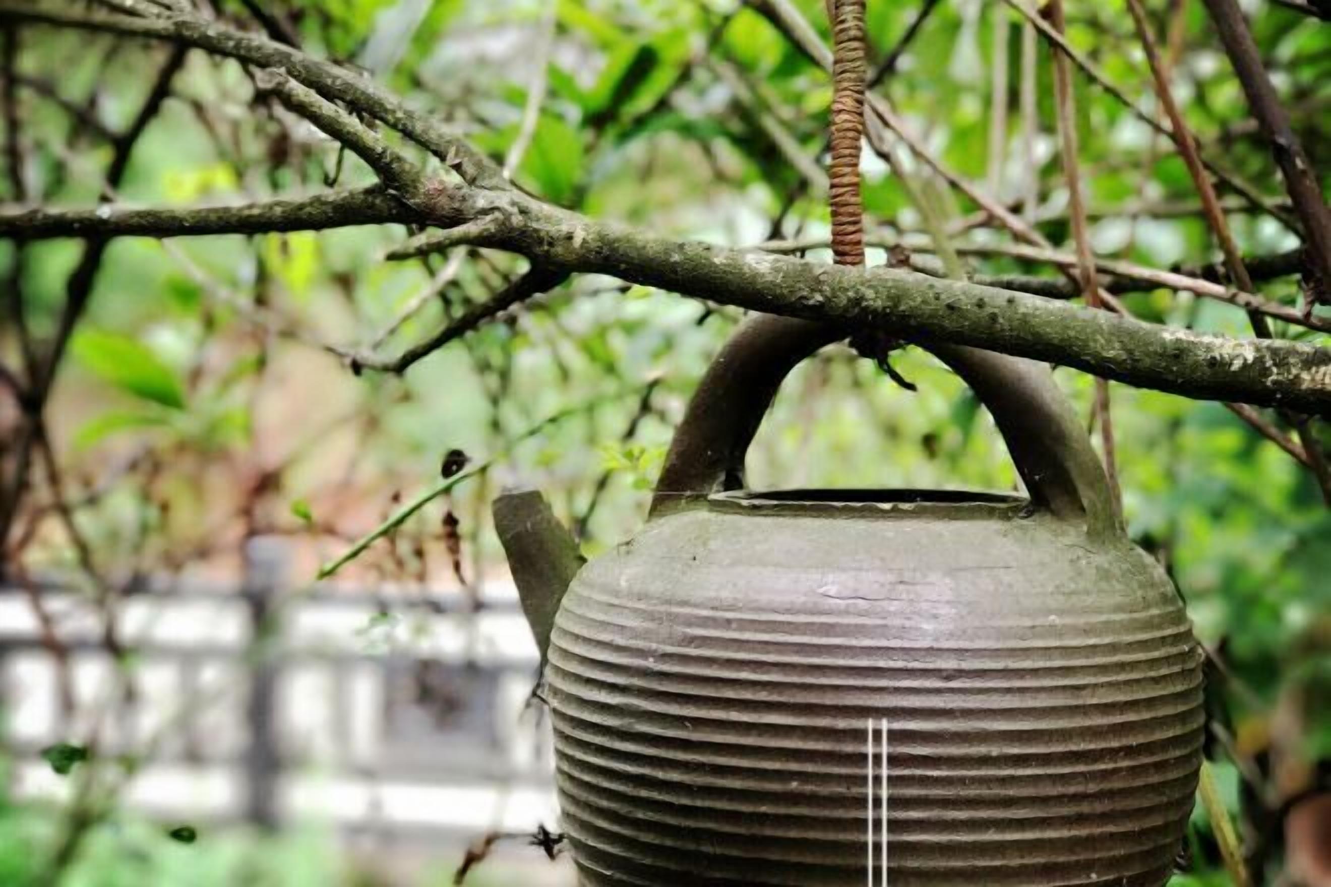 A rustic, weathered pot hanging from a tree branch.