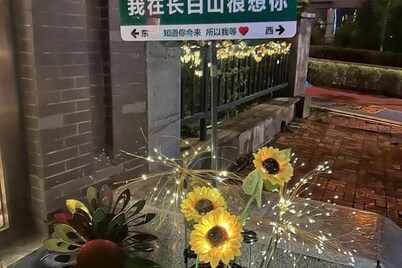Lumingchun Hotel (Changbai Mountain North Scenic Area Distribution Center)