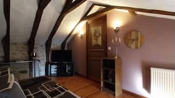 TV, fireplace, video games, books