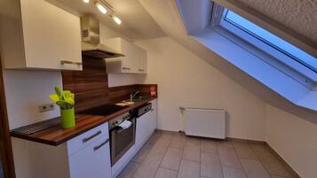 Fridge, oven, stovetop, dishwasher