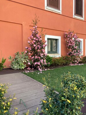 Detall de l'exterior