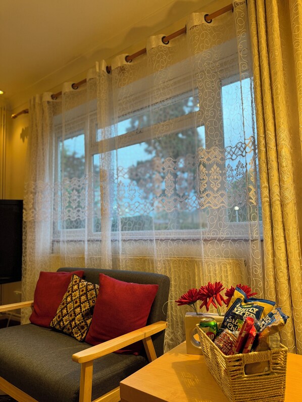 Smart TV, DVD player