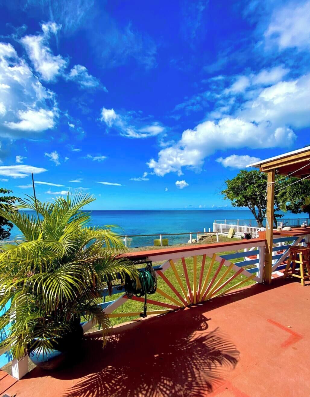 テラス / パティオ