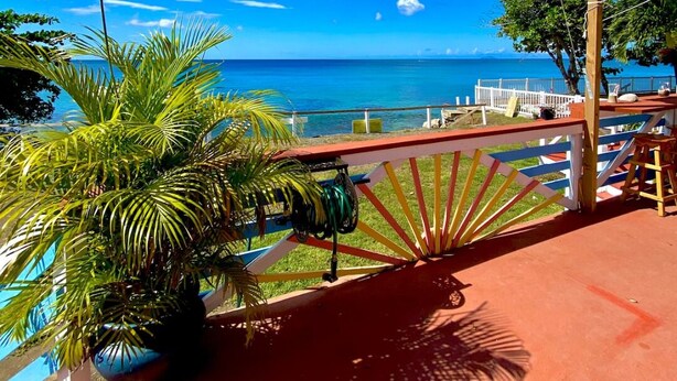 A view from a balcony overlooking a pool and ocean, with a clear sky and palm trees. - Ocean front 2-bedroom house private Beach, pool in enchanting Rincon wifi AC (Rincon)