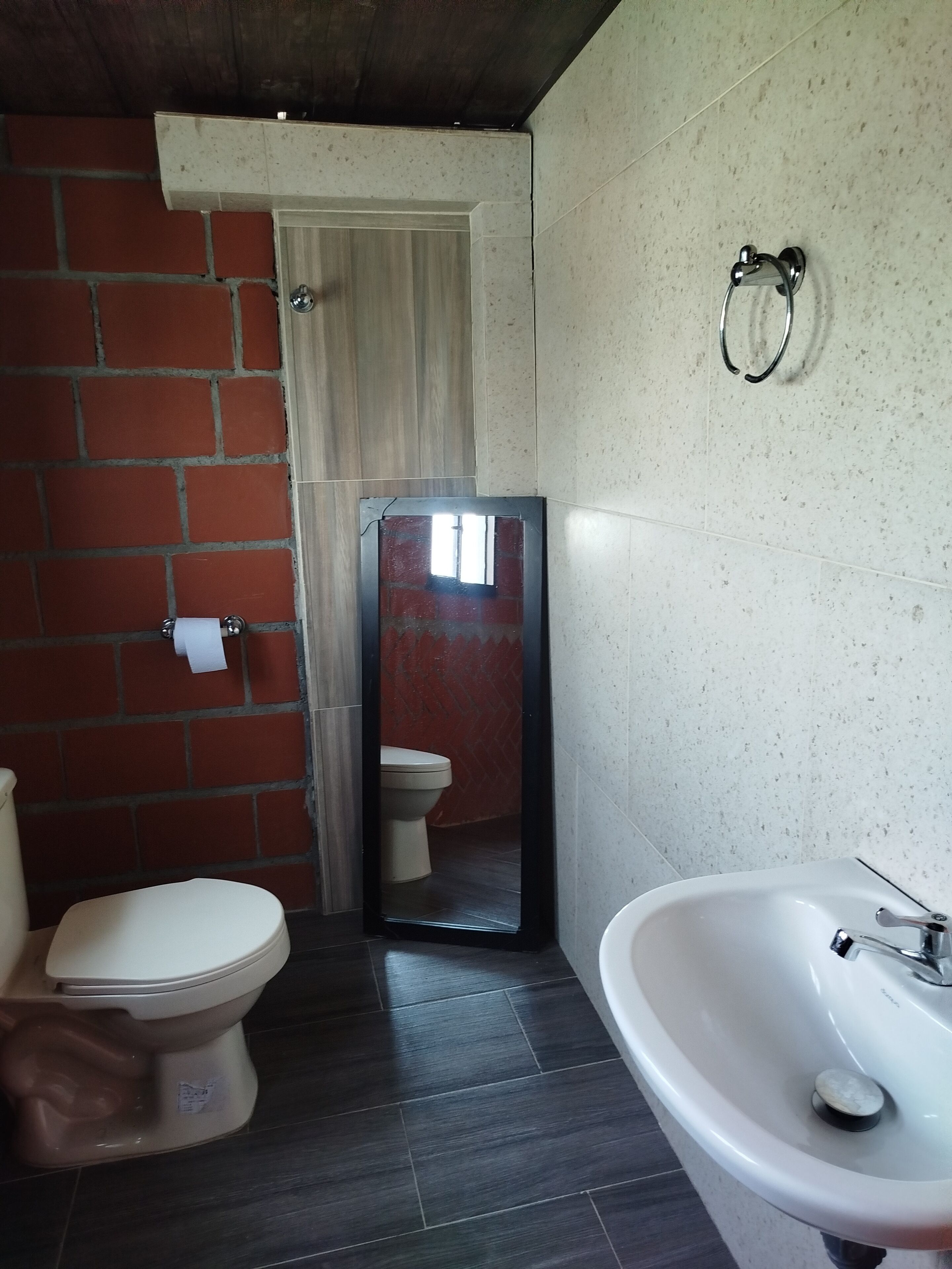 Un baño con inodoro, lavamanos y espejo.