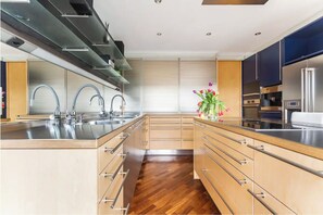 Fridge, oven, stovetop, dishwasher