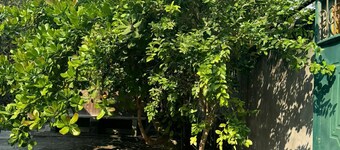 Walk to beach Tonsupa, Ecuador, WiFi, AC, FREE PARKING Vacation Apartment
