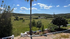 A rural landscape with a palm tree, a field, and distant hills. - Herdade do Castanheiro nur Wenige Min. von Lagos in Traumhafter Ruhiger Lage (Bensafrim/ Lagos)