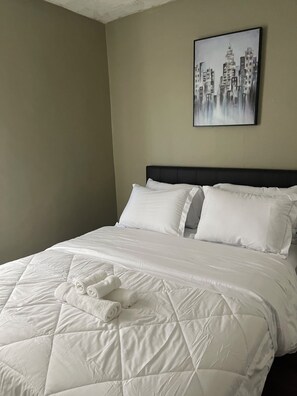 3 chambres, fer et planche à repasser, Wi-Fi, draps fournis