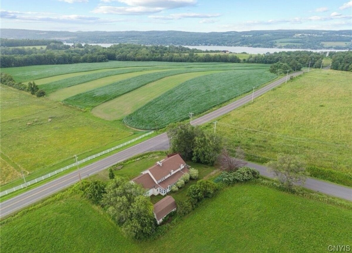 Imagen de perfil del propietario o de la propietaria