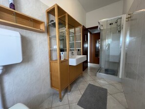 Shower, hair dryer, bidet, towels