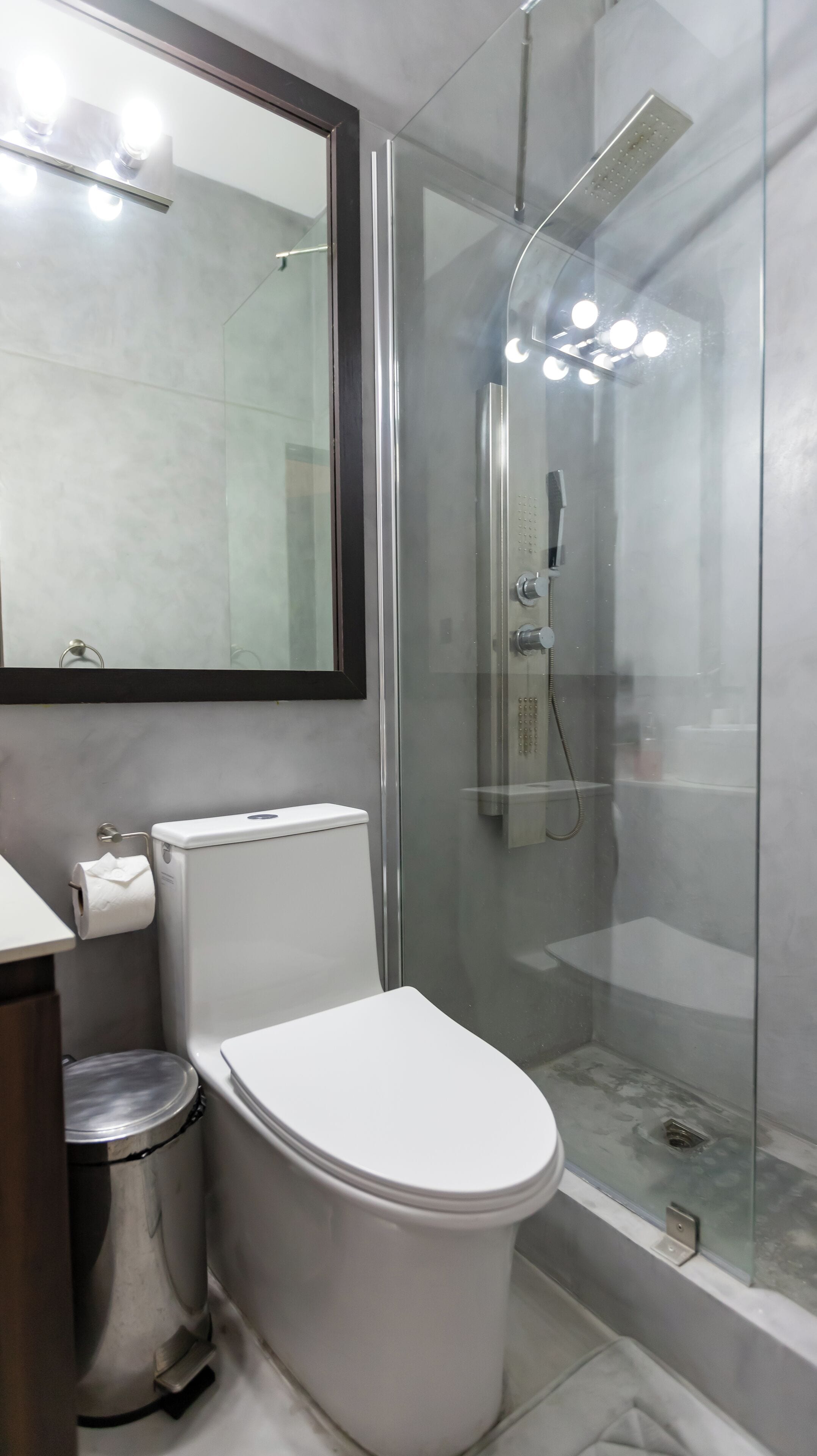 A modern bathroom with a glass-enclosed shower, a toilet, and a mirror.