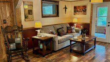 Télévision, cheminée, lecteur de DVD, livres