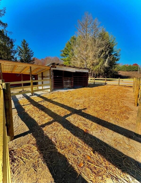 Property grounds - Timberline Cabins - Peaceful Pines Lodge, WiFi, Pets, Stalls, Hot Tub (Cambridge)