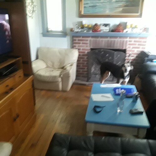 Cozy 1 BR, Walk to Univ of MD, walk to Metro DC access, walk to shops n restaura