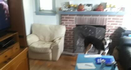 Cozy 1 BR, Walk to Univ of MD, walk to Metro DC access, walk to shops n restaura