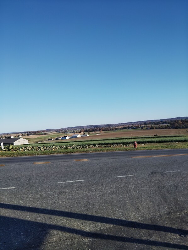 A rural road with a clear sky, fields, and a few buildings in the distance.