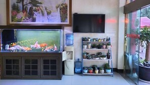 A fish tank with various fish, a water dispenser, a TV, and shelves with potted plants. - Xuanwei Yuantong Hotel (Xuanwei)