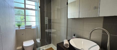 Hair dryer, towels, soap, toilet paper