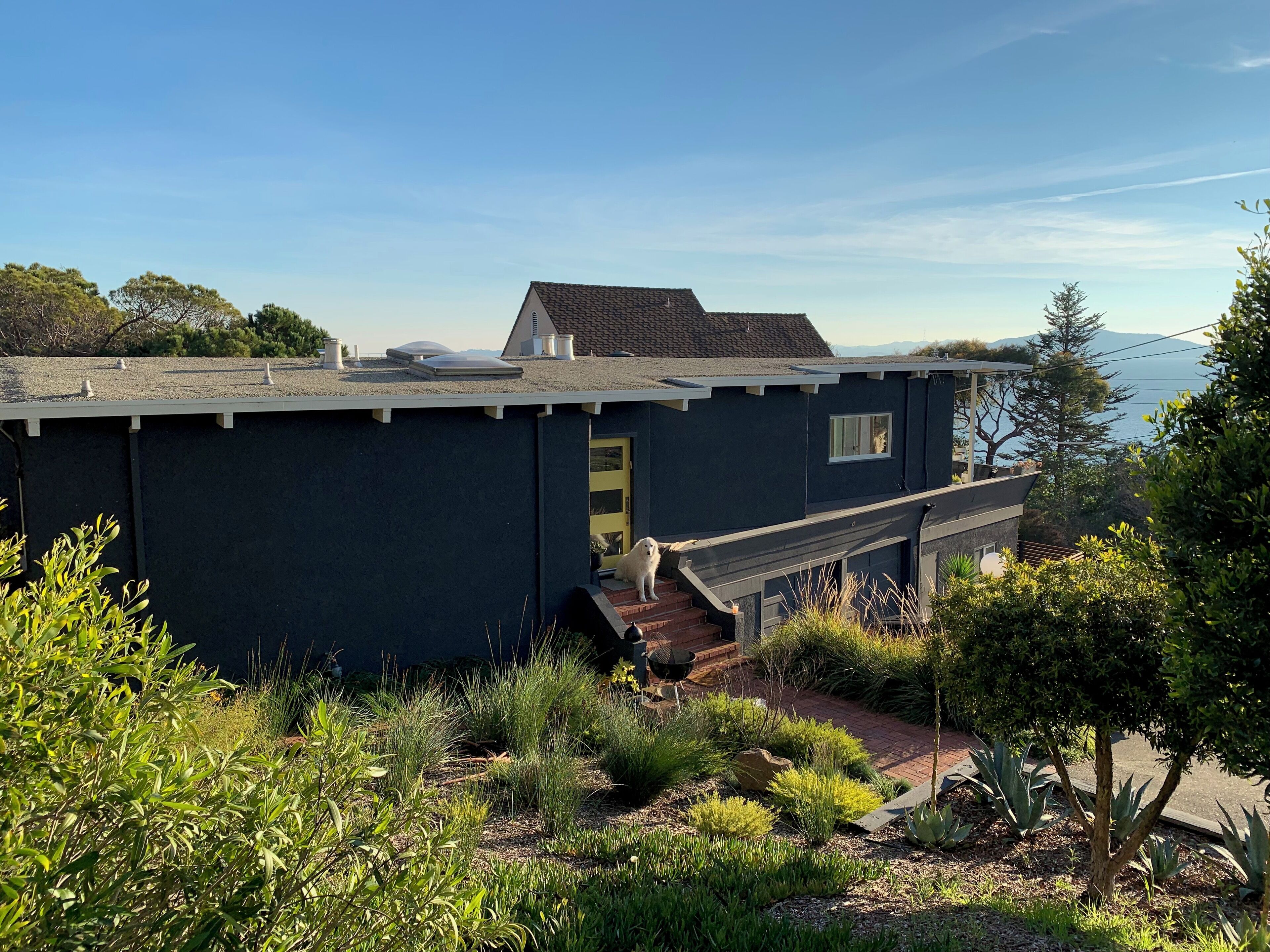 Tranquil Mid Century SF Gem. Beautiful Bay Views. Centrally Located. Walkable