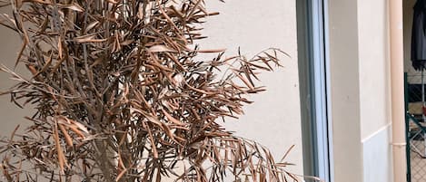 Außendetails