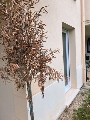 Exterior detail - Beautiful apartment with terrace and garden (Bussy-Saint-Georges)