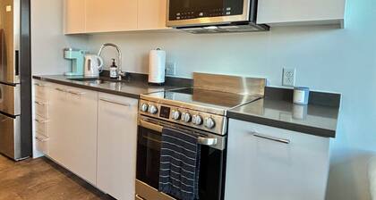 Charming 1B1B studio near Harvard and MIT with beautiful views