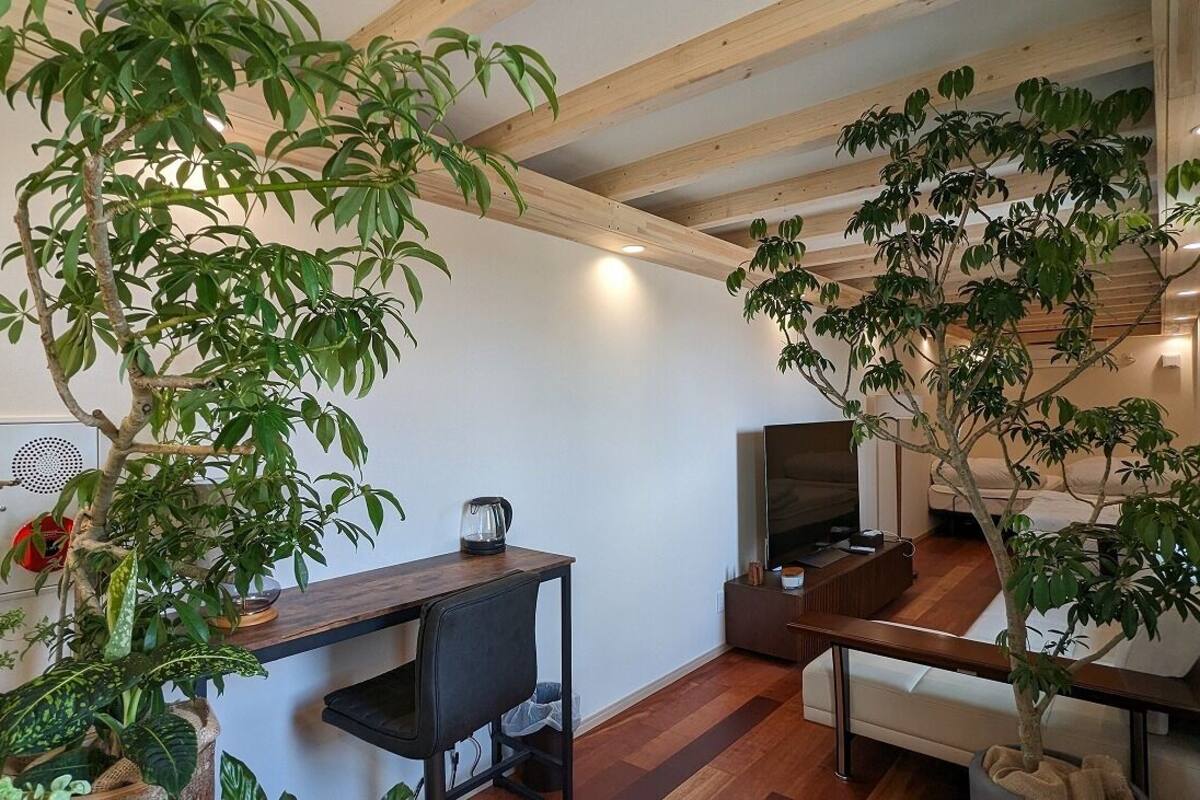 Una sala de estar moderna con vigas de madera, un televisor, una mesa de centro y varias plantas en macetas.