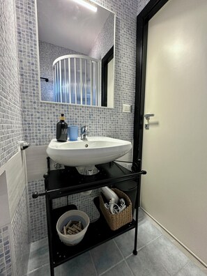 Shower, hair dryer, bidet, towels