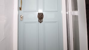 Eksteriør