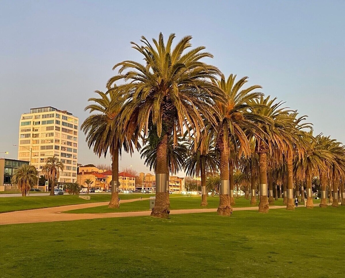 Imagen de perfil del propietario o de la propietaria