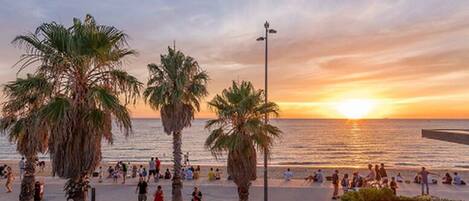 Playa en los alrededores