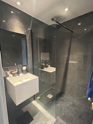 Shower, towels, toilet paper
