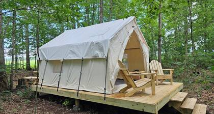 Lovely glamping site off the beaten path in a beautiful wooded setting.