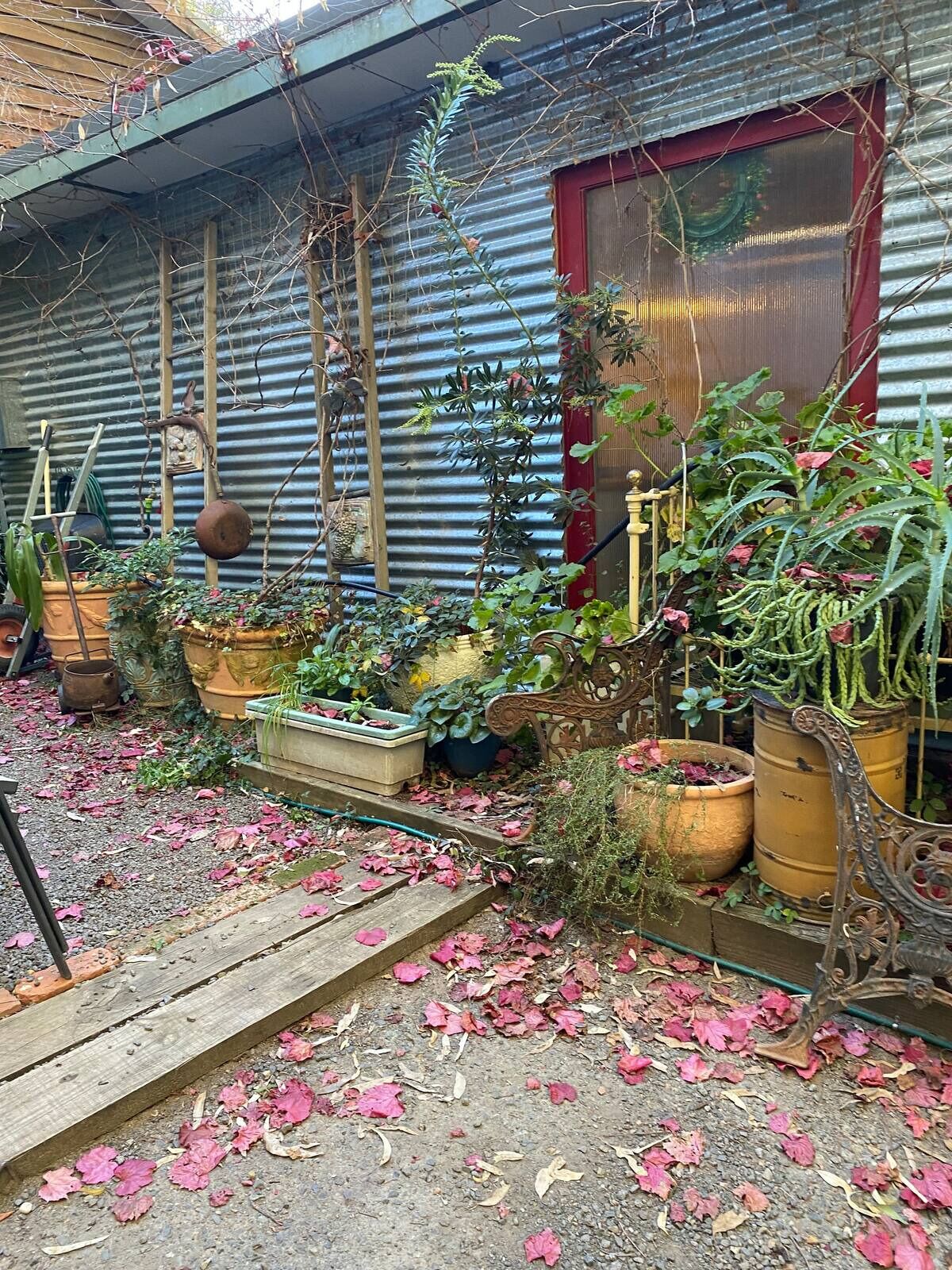 Área da propriedade