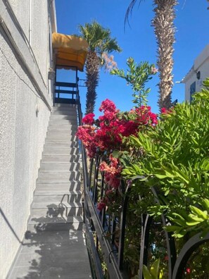 Detall de l'exterior