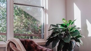 Habitació amb una butaca de cuir, una planta en test i una finestra amb vista a arbres.