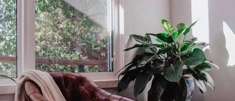A room with a leather chair, a potted plant, and a window with a view of trees.